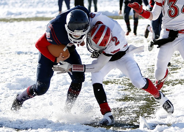 还利用他的 还利用他的